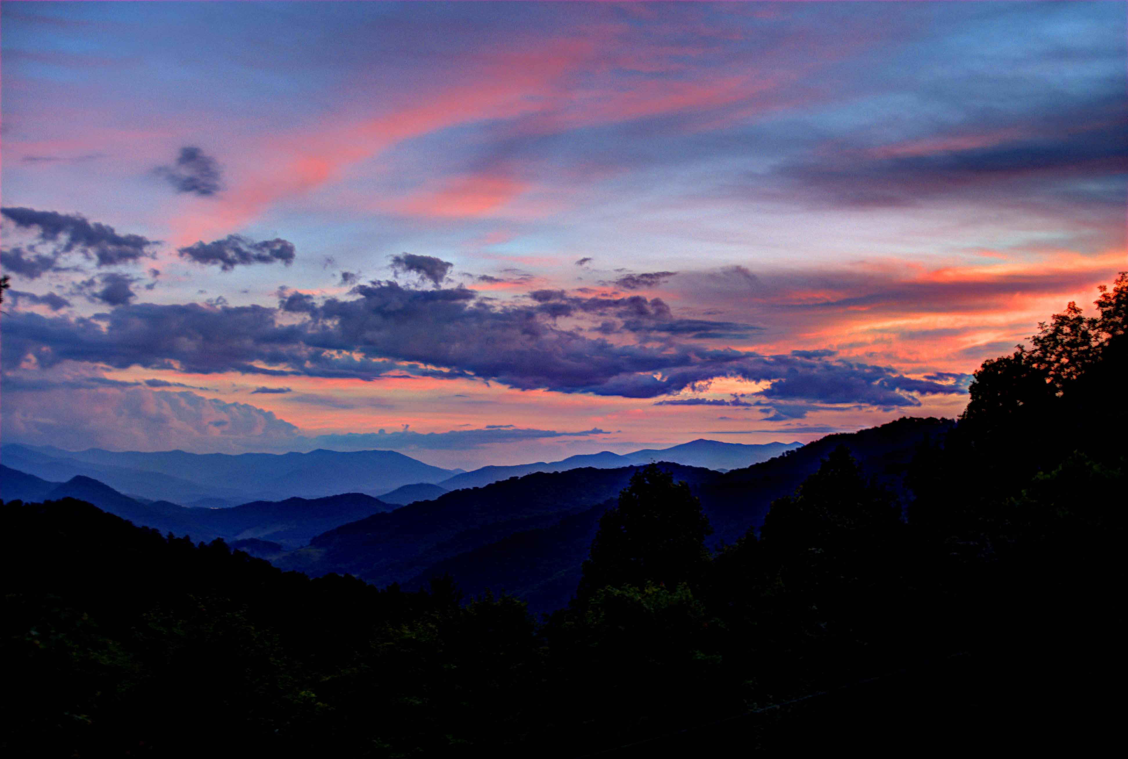 Copyright © 2014Michael R. EddyAll rights reserved